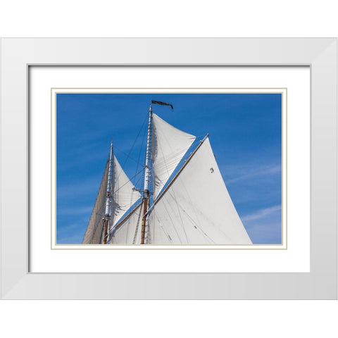 New England-Massachusetts-Cape Ann-Gloucester-Gloucester Schooner Festival-schooner sails White Modern Wood Framed Art Print with Double Matting by Bibikow, Walter