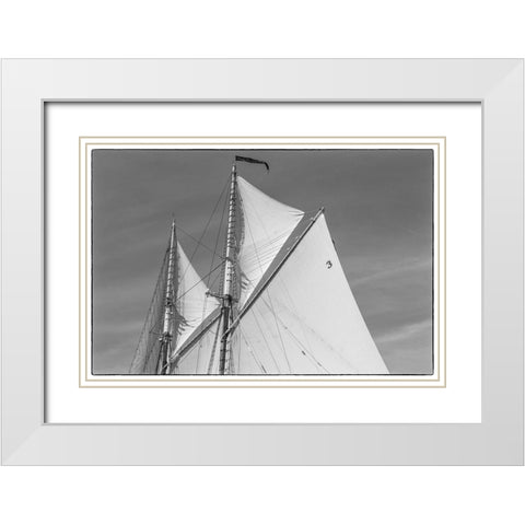 New England-Massachusetts-Cape Ann-Gloucester-Gloucester Schooner Festival-schooner sails White Modern Wood Framed Art Print with Double Matting by Bibikow, Walter