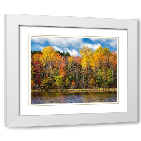 USA-Michigan-Upper Peninsula-Munising Autumn trees at Thornton Lake White Modern Wood Framed Art Print with Double Matting by Collins, Ann