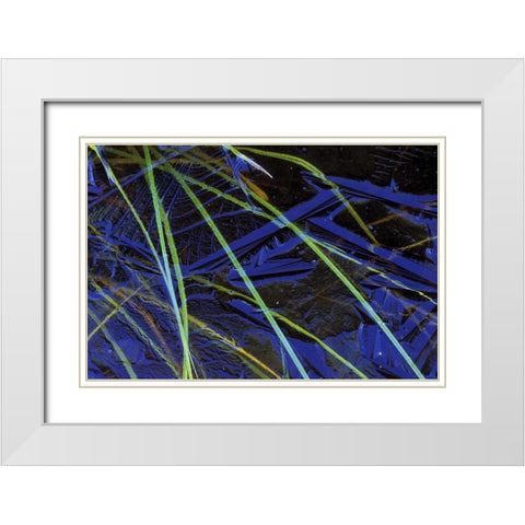 MI, Upper Peninsula, Sedge leaves under thin ice White Modern Wood Framed Art Print with Double Matting by Carlson, Mark