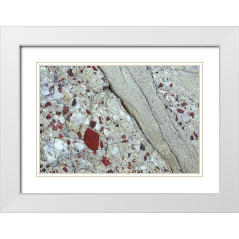 MI, Drummond Island, Close up of patterns in rock White Modern Wood Framed Art Print with Double Matting by Carlson, Mark