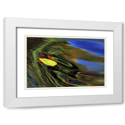 MI, Birch leaf in river with autumn reflections White Modern Wood Framed Art Print with Double Matting by Carlson, Mark