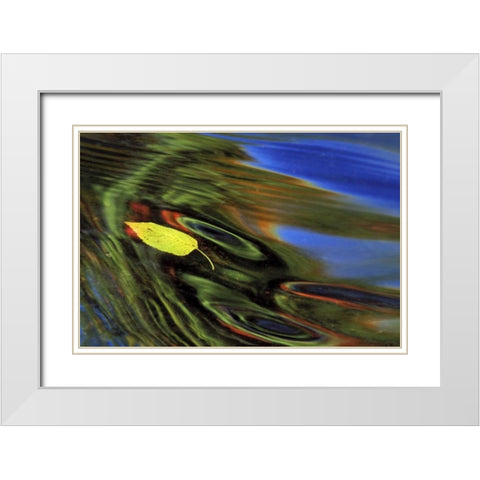 MI, Birch leaf in river with autumn reflections White Modern Wood Framed Art Print with Double Matting by Carlson, Mark