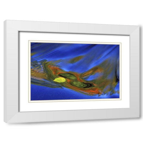 MI, birch leaf in river current in autumn White Modern Wood Framed Art Print with Double Matting by Carlson, Mark