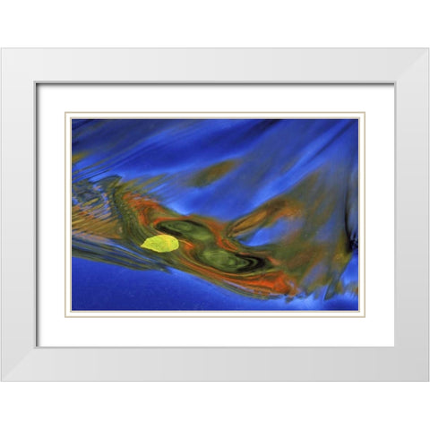 MI, birch leaf in river current in autumn White Modern Wood Framed Art Print with Double Matting by Carlson, Mark