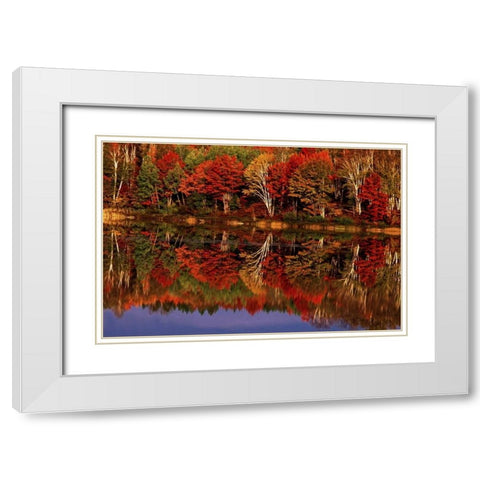 United States, MI, Fall reflects in Thornton Lake White Modern Wood Framed Art Print with Double Matting by Welling, Dave