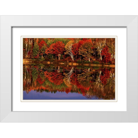 United States, MI, Fall reflects in Thornton Lake White Modern Wood Framed Art Print with Double Matting by Welling, Dave