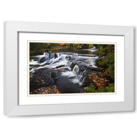 Michigan Bond Falls and fall foliage White Modern Wood Framed Art Print with Double Matting by Rotenberg, Nancy