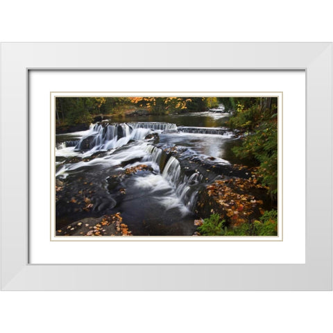 Michigan Bond Falls and fall foliage White Modern Wood Framed Art Print with Double Matting by Rotenberg, Nancy