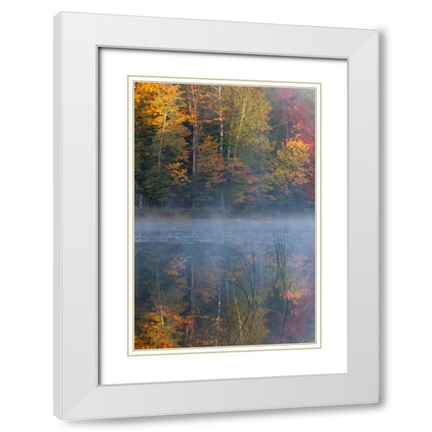 MI, Thornton Lake with fog and tree reflections White Modern Wood Framed Art Print with Double Matting by Rotenberg, Nancy