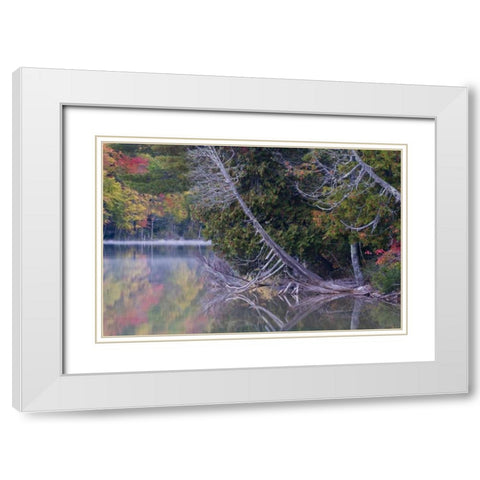 MI, Petes Lake reflects autumn foliage White Modern Wood Framed Art Print with Double Matting by Rotenberg, Nancy