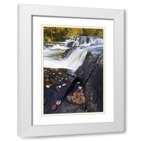 Michigan, Upper Peninsula View of Bond Falls White Modern Wood Framed Art Print with Double Matting by Rotenberg, Nancy