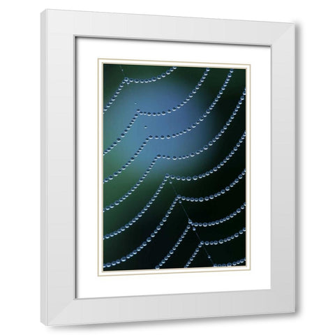 Michigan Diagonal web strand with dewy drapes White Modern Wood Framed Art Print with Double Matting by Carlson, Mark