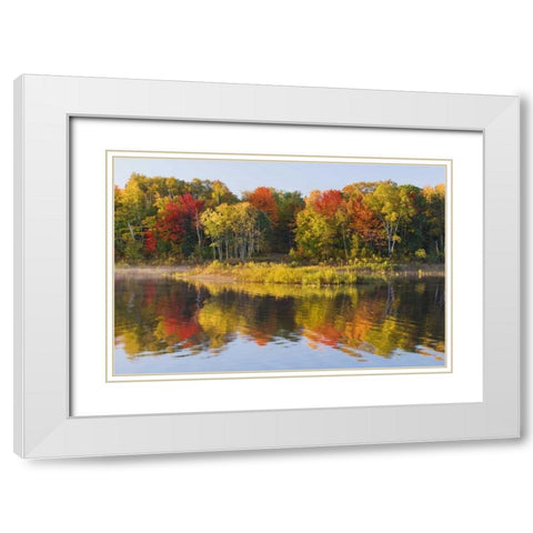 MI, Autumn in Bond Falls Recreation Area White Modern Wood Framed Art Print with Double Matting by Bush, Marie