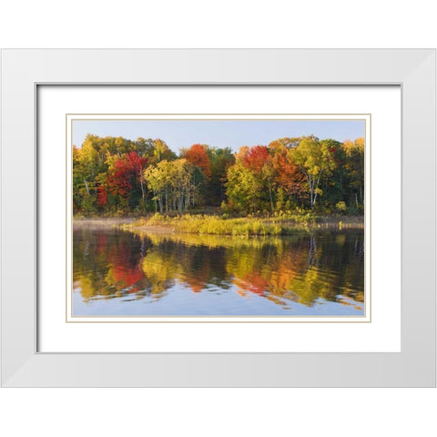 MI, Autumn in Bond Falls Recreation Area White Modern Wood Framed Art Print with Double Matting by Bush, Marie