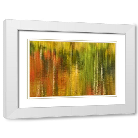 MI Reflection of autumn birch and maple trees White Modern Wood Framed Art Print with Double Matting by Bush, Marie