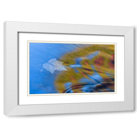 Michigan, Upper Peninsula Bond Falls reflections White Modern Wood Framed Art Print with Double Matting by Rotenberg, Nancy
