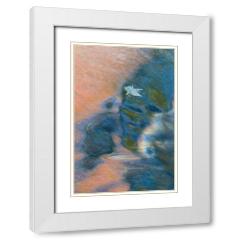 Michigan, Upper Peninsula Bond Falls reflections White Modern Wood Framed Art Print with Double Matting by Rotenberg, Nancy