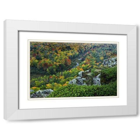 USA, Michigan River in autumn landscape White Modern Wood Framed Art Print with Double Matting by Rotenberg, Nancy
