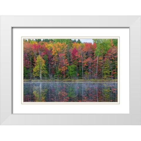 Thornton Lake in fall color-Alger County-Michigan White Modern Wood Framed Art Print with Double Matting by Day, Richard and Susan
