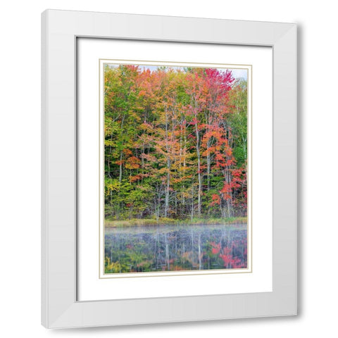 Thornton Lake in fall color-Alger County-Michigan White Modern Wood Framed Art Print with Double Matting by Day, Richard and Susan