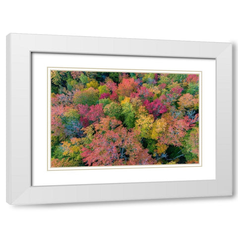 Aerial view of Hugoboom Lake in fall color-Alger County-Michigan White Modern Wood Framed Art Print with Double Matting by Day, Richard and Susan