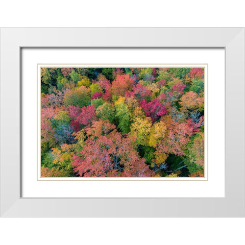 Aerial view of Hugoboom Lake in fall color-Alger County-Michigan White Modern Wood Framed Art Print with Double Matting by Day, Richard and Susan