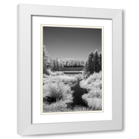 USA-Minnesota-La Salle State Recreation Area White Modern Wood Framed Art Print with Double Matting by Hawkins, Peter