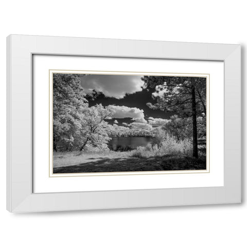 USA-Minnesota-La Salle State Recreation area White Modern Wood Framed Art Print with Double Matting by Hawkins, Peter