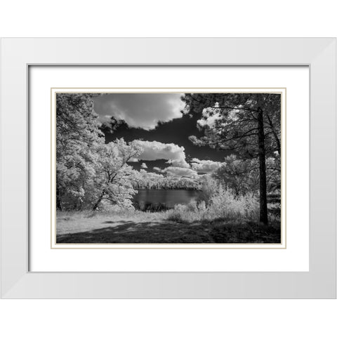 USA-Minnesota-La Salle State Recreation area White Modern Wood Framed Art Print with Double Matting by Hawkins, Peter