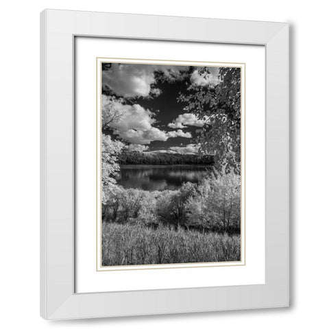 USA-Minnesota-La Salle State Recreation area White Modern Wood Framed Art Print with Double Matting by Hawkins, Peter