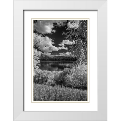 USA-Minnesota-La Salle State Recreation area White Modern Wood Framed Art Print with Double Matting by Hawkins, Peter