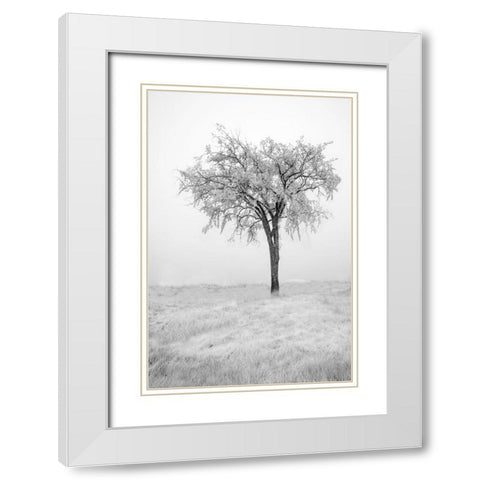 USA-Minnesota-Duluth-Park Point-Boardwalk over Dunes White Modern Wood Framed Art Print with Double Matting by Hawkins, Peter