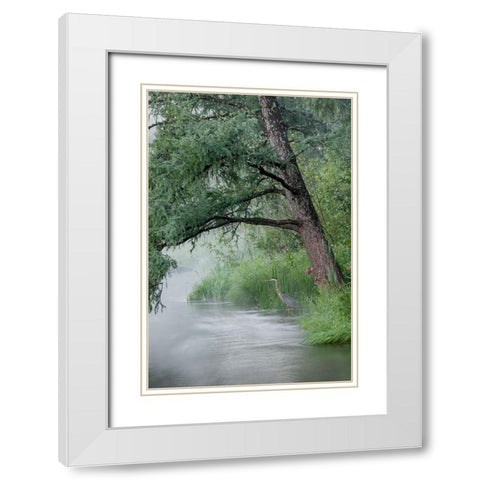 USA-Minnesota-Itasca State Park-Mississippi Headwaters White Modern Wood Framed Art Print with Double Matting by Hawkins, Peter
