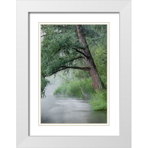USA-Minnesota-Itasca State Park-Mississippi Headwaters White Modern Wood Framed Art Print with Double Matting by Hawkins, Peter