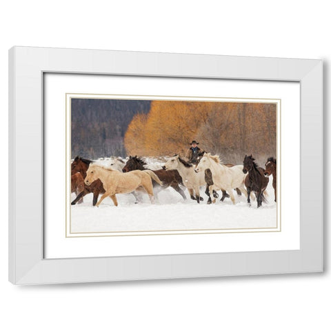 Cowboys during winter roundup-Kalispell-Montana White Modern Wood Framed Art Print with Double Matting by Jones, Adam