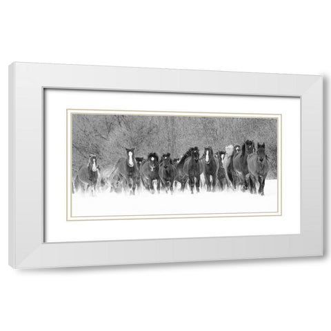 Panoramic view of rodeo horses running during winter roundup-Kalispell-Montana White Modern Wood Framed Art Print with Double Matting by Jones, Adam