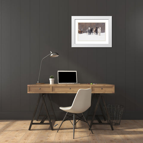 Rodeo horses running during winter roundup-Kalispell-Montana White Modern Wood Framed Art Print with Double Matting by Jones, Adam