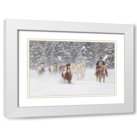 Cowboy during winter roundup-Kalispell-Montana White Modern Wood Framed Art Print with Double Matting by Jones, Adam