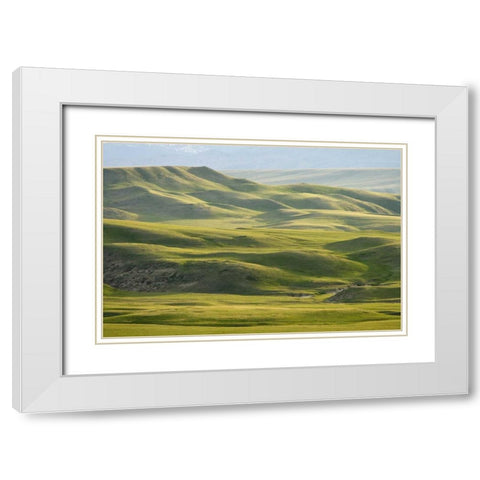 MT, Rocky Mt, Green hills east of Great Falls White Modern Wood Framed Art Print with Double Matting by Paulson, Don