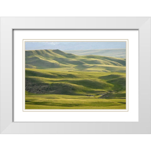 MT, Rocky Mt, Green hills east of Great Falls White Modern Wood Framed Art Print with Double Matting by Paulson, Don