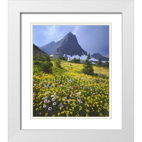 Montana, Glacier NP Wildflowers White Modern Wood Framed Art Print with Double Matting by Talbot Frank, Christopher