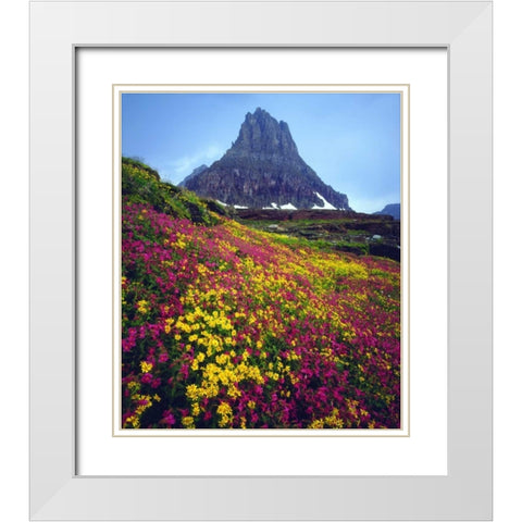 USA, Montana, Glacier NP Wildflowers in summer White Modern Wood Framed Art Print with Double Matting by Talbot Frank, Christopher