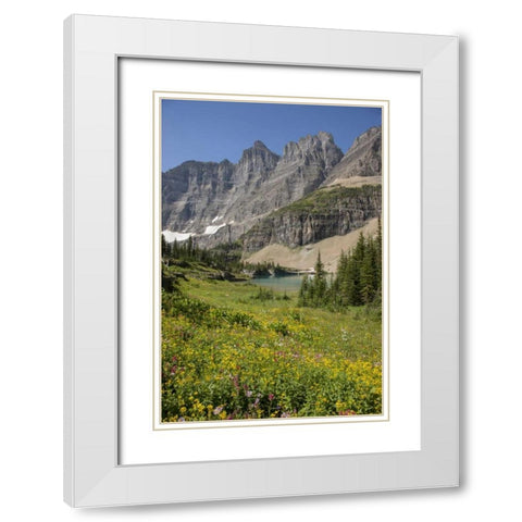 Montana, Glacier NP Meadow above Iceberg Lake White Modern Wood Framed Art Print with Double Matting by Grall, Don