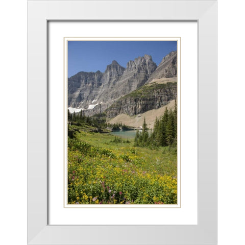 Montana, Glacier NP Meadow above Iceberg Lake White Modern Wood Framed Art Print with Double Matting by Grall, Don