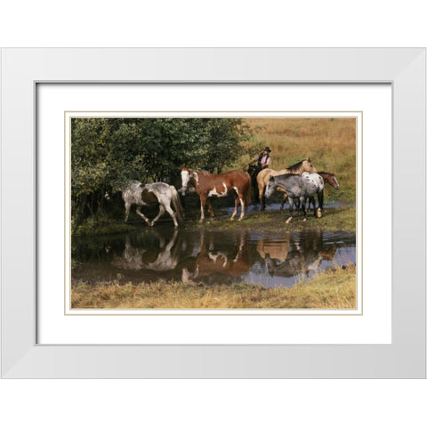 USA, Montana Horses tended by cowgirl White Modern Wood Framed Art Print with Double Matting by Bush, Marie