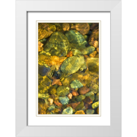 MT, Rattlesnake Wilderness Area Underwater rocks White Modern Wood Framed Art Print with Double Matting by Rotenberg, Nancy