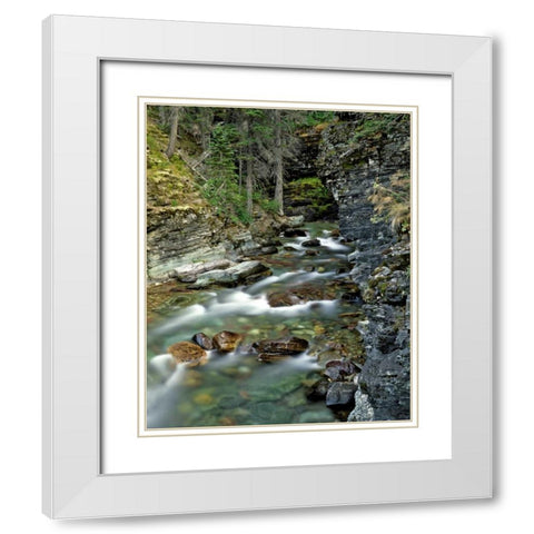 USA, Montana, Glacier NP Stream in Sunrift Gorge White Modern Wood Framed Art Print with Double Matting by Terrill, Steve