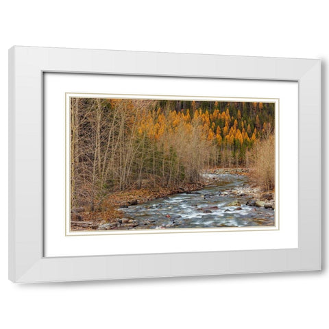 Bear Creek in autumn in the Flathead National Forest-Montana-USA White Modern Wood Framed Art Print with Double Matting by Haney, Chuck