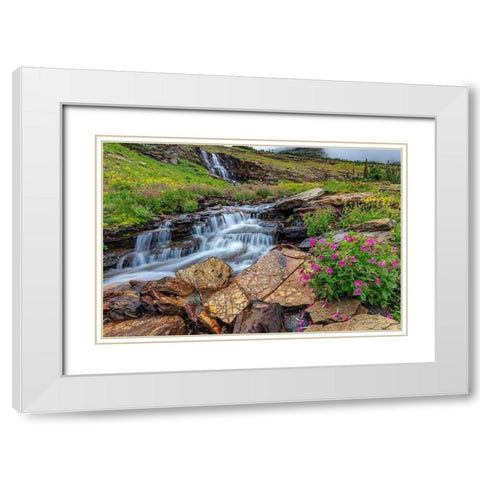 Alpine wildflowers along Oberlin Creek in Glacier National Park-Montana-USA White Modern Wood Framed Art Print with Double Matting by Haney, Chuck